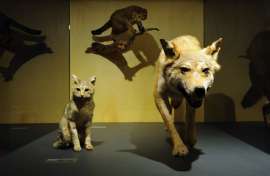 Ausstellungsansicht