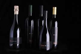 Flaschen der verschiedenen Lugana Typen, Schaumwein, Lugana, Lugana Superiore und Lugana Riserva