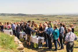 Zahlreiche Leute Verkosten im Freien Wein bei der ÖTW Erste Lagen Tour de Vin