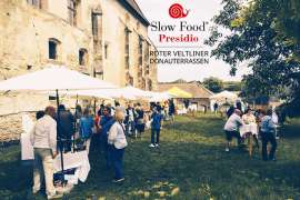 Roter Veltliner Donauterrassen Schneckenpartie Vol. 2 - Leute bei der Verkostung