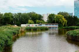 copyright: Romar Ferry