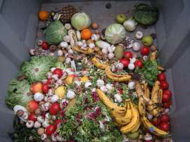 Ein Container mit weggeworfenem Obst und Gemüse
