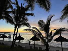 Abendstimmung am Strand von Mauritius unter Palmen