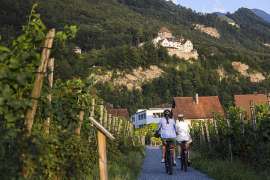 Routen fr Genussradfahrer - mitten durch die Weingrten, im Hintergrund eine Burg auf einem Fels
