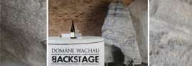 copyright: Domäne-Wachau