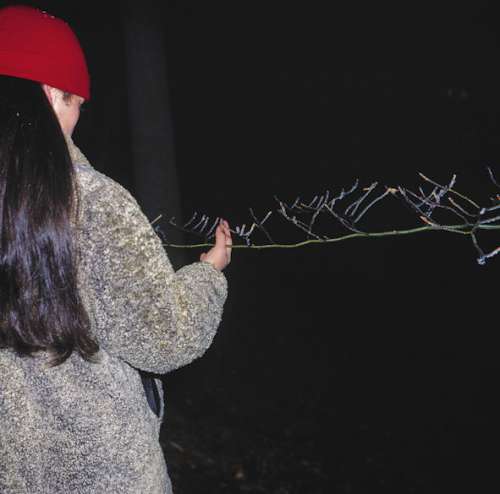 Manfred Willmann Ohne Titel, aus der Serie „Das Land“, Lambda Print