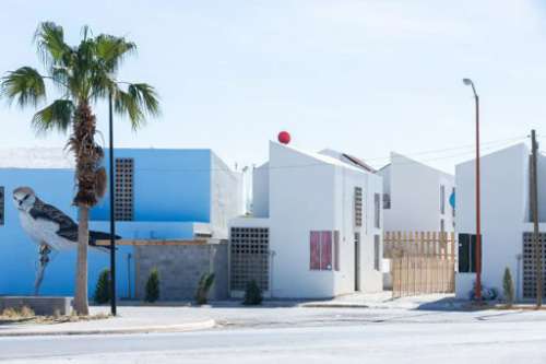 Häuser in weiß und blau, auf einem Haus ist ein großer Vogel aufgemalt, davor steht eine Palme Sozialer Wohnbau – insgesamt 16 Wohneinheiten mit je 52 m2 und einem öffentlichen Raum mit 27.000m2 – in Acuña, Mexiko, 2015 