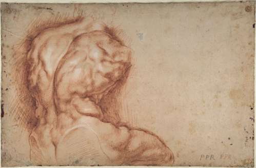 Peter Paul Rubens: Studie des Torso, Belvedere