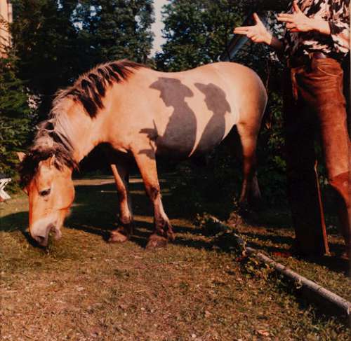 »High Noon« Ehem. Textilfabrik Fischapark, Weigelsdorf, 1982/87