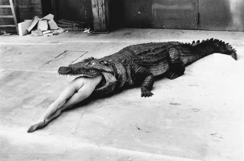 Helmut Newton: Crocodile, Pina Bausch Ballett, Wuppertal, 1983