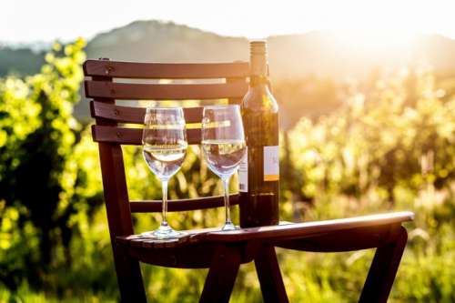 Weinland Steiermark... zum Weinen schön-auf einem Holzsessel im Weingarten stehen zwei Gläser und eine Flasche Weisswein