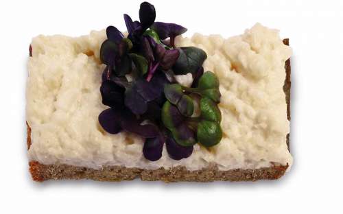 Das Frühlingsbrötchen Apfel-Sellerie mit Sprossen in Großaufnahme