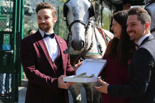 v.l.n.r.: Raimund Novotny, Riding Dinner, Regina Kolarik, Marco Pollandt, Riding Dinner, dahinter ein Zeiserlwagen mit zwei Schimmeln