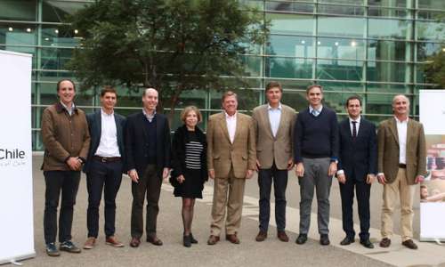 Der Wines of Chile Vorstand