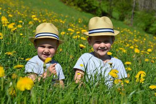 Alexander und Maximilian genießen den Sommer im Zillertal in einer Bergwiese voller Löwenzahn