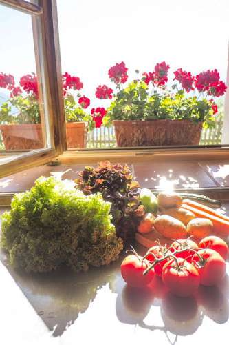 Golmerhaus Alles Natur pur!Frisches Gemüse und Salat auf einem Holztisch vor einem offenen Fenster, draussen rote Begonien