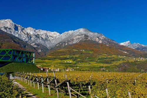 Die Kellerei Tramin mit ihrem spektakulären Betriebsgebäude kultiviert ihre Weinberge in und rund um den berühmten Ort Tramin. Besonderes Augenmerk wird auf die anspruchsvolle Sorte Gewürztraminer gelegt, die das Weingut in unteschiedlichsten Spielar