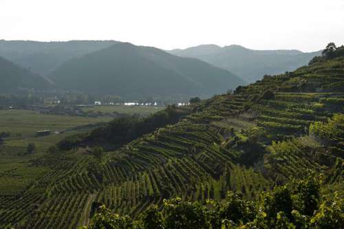 Die Ried Loibenberg