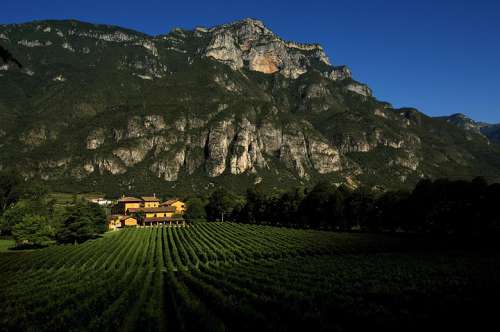 Das Weingut vor eindrucksvoller Bergkulisse