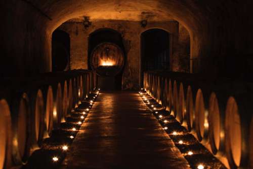 Barriquefässer im Weinkeller der Tenuta Di Ghizzano