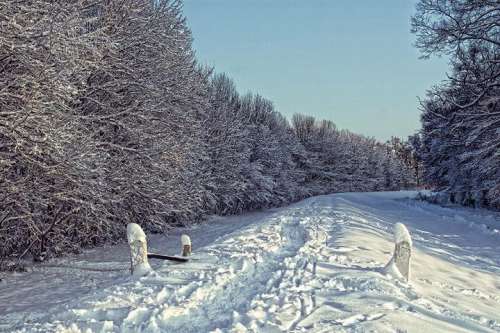 Verschneiter Weg entlang des Waldes