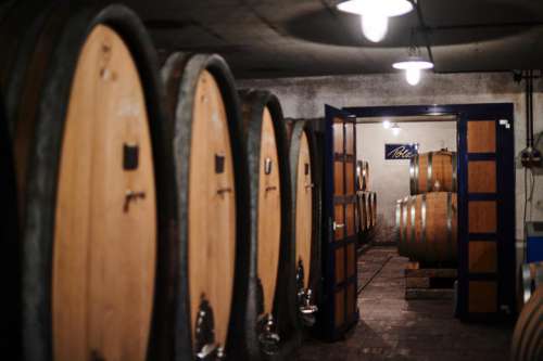 Ein Blick in den Keller des Weingutes Polz
